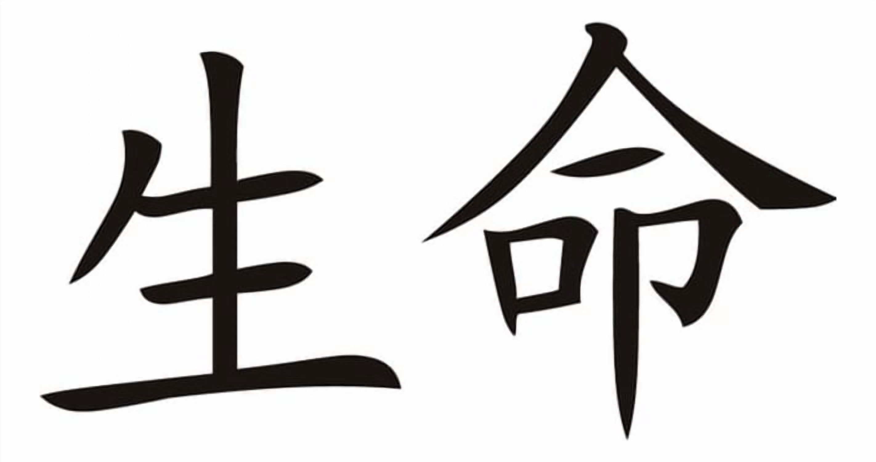 Rienda Libre Graphics - Decomural Life Chinese Symbol Ws-16087