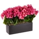thumbnail image 1 of Planta artificial de geranio casi natural con maceta rectangular, 1 of 3