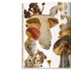 thumbnail image 4 of The Gourmand's Mushroom. A collection of stories and recipes, 4 of 5