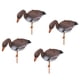thumbnail image 3 of 4 Se?uelo De Caza De Ganso De Tama?o Completo Para Exteriores 3D Target Garden Lawn Decor Scarer, 3 of 5