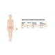 thumbnail image 5 of Short Casual Mujer Soft Colores Calidad 88, 5 of 5