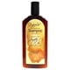 thumbnail image 1 of Shampoo Agadir Hidratante Diario 366ml Unisex, 1 of 3