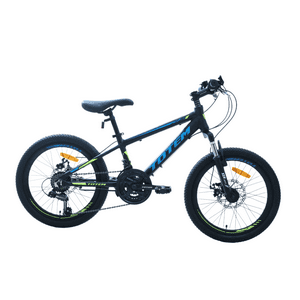 Bicicleta Totem Mtb Aro 20 Modelo Storm Negro