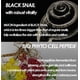 thumbnail image 3 of Emulsión reparadora de caracoles negros HOLIKA HOLIKA Prime Youth, 100 ml, 3 of 8