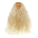 thumbnail image 2 of Peluca De Pelo Rizado Postizo Para 1/3 BJD Doll Making & Repair Supply Light Gold, 2 of 3