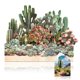 thumbnail image 1 of Tarjeta de Felicitación PINELIFE Cactus y Suculentas 3D Pop‑Up, 1 of 9