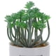 thumbnail image 2 of Planta Decorativa All You Need Love Maceta Blanca, 2 of 5