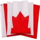 thumbnail image 5 of Bandera canadiense DANF de 90 x 150 cm, gruesa, de poliéster, resistente a la decoloración, ojales de latón y cabecera de lona. Banderas nacionales canadienses de 90 x 150 cm., 5 of 6