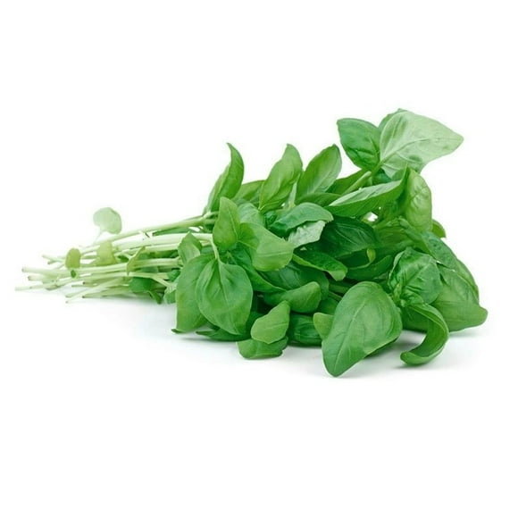 Albahaca Bolsa, 1 Un