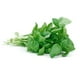 thumbnail image 1 of Albahaca Bolsa, 1 Un, 1 of 3