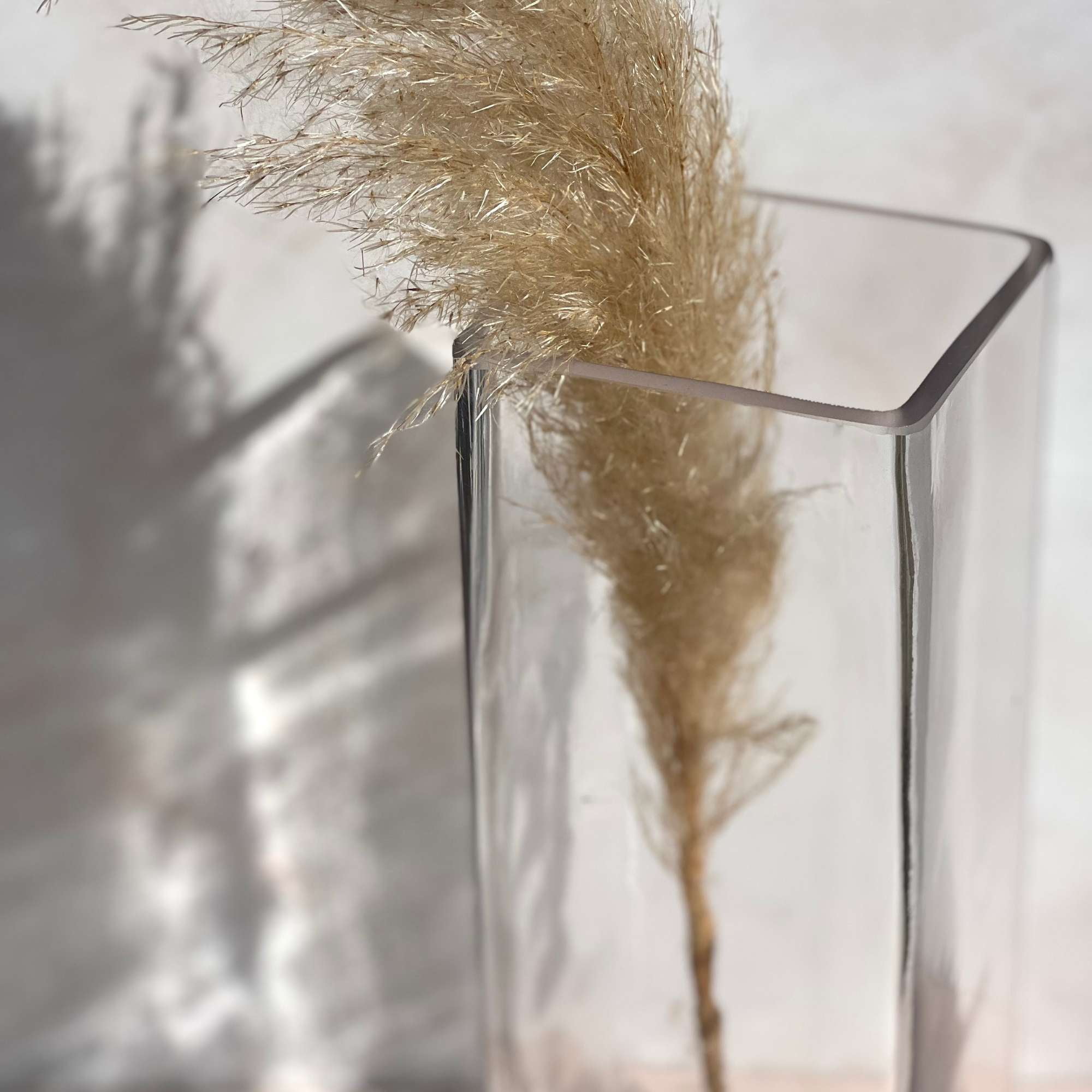 Decoexpress - Florero Pisa 30x10 Cm