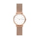 thumbnail image 1 of Reloj Skagen Mujer SKW2694, 1 of 3