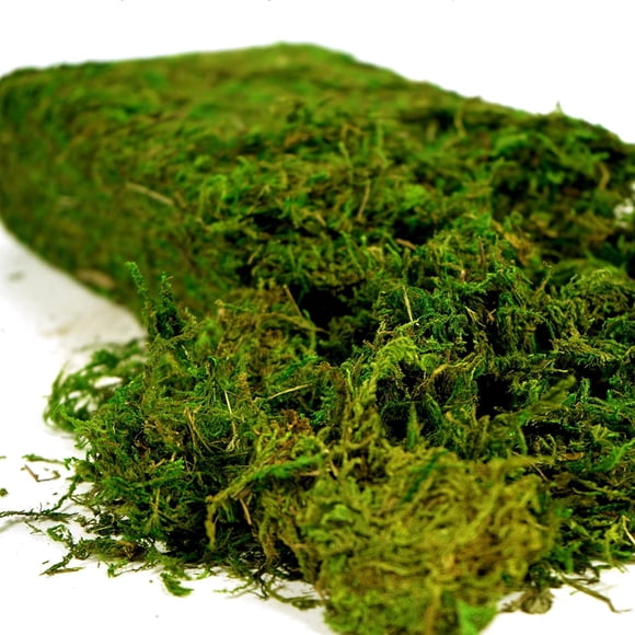 Musgo Artificial Fake Moss 455 G Para Manualidades Y Decoración