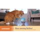 thumbnail image 2 of Juguete Interactivo Catstages Meowsmerizing Fish Bowl Gato, 2 of 3