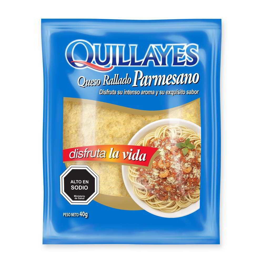 Queso Parmesano Rallado 40 g Quillayes
