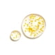 thumbnail image 2 of Sérum para ojos L'Occitane Immortelle Overnight 15 ml, 2 of 3