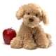 thumbnail image 4 of Peluche GUND Designer Pups Collection Nayla Cockapoo Puppy, 4 of 5