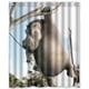 thumbnail image 1 of Cortina de ducha blanca con diseño de hipopótamo, juego de cortinas de baño con ganchos, tamaño 60 x 72 pulgadas, 1 of 3