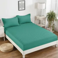 Casadeliacl - Cubre Colchón Impermeable T.F.I Para Colchones Hasta 30 Cm Verde Liso 2 Plazas