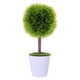 thumbnail image 1 of Planta Decorativa Artificial Moldeada Laurus, 1 of 4