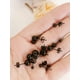 thumbnail image 3 of Pack 6 Par De Esferas Negras Hipoalergénica Piercing Oreja, 3 of 3