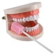 thumbnail image 4 of Hisopos orales desechables Wellgler esponja estéril 100 uds rosa, 4 of 6