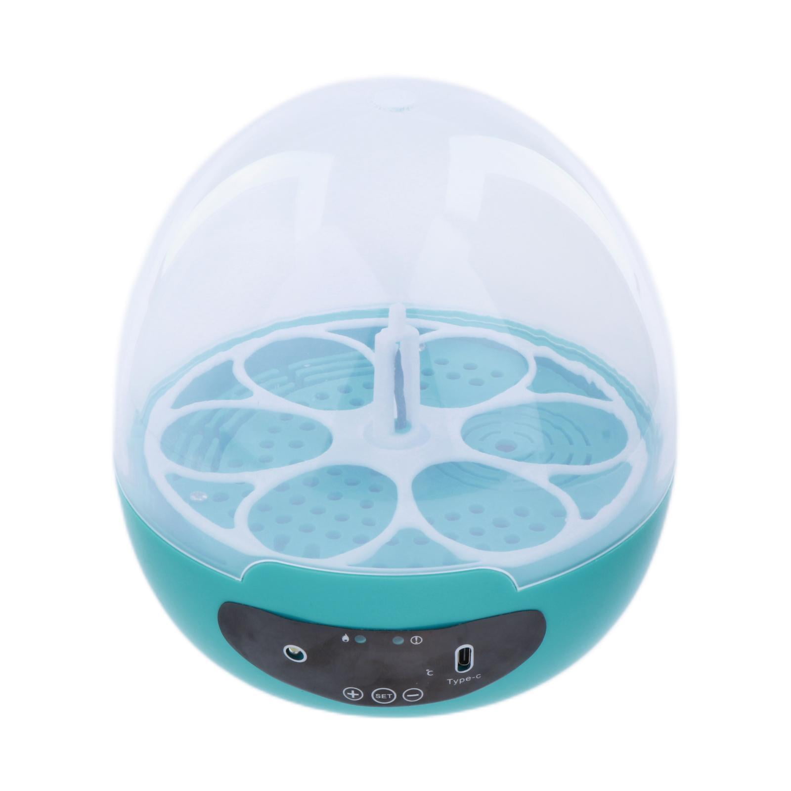 Magideal - Incubadora De Huevos, Incubadora De Huevos Mini De Incubación De Huevos De Aves De Corral Con Control Automático De Temperatura Incubadora De 6 Huevos Azul Automático