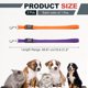 thumbnail image 2 of Uxcell Lazos de Aseo para Perros, Correa de Restricción Extensible de Nylon para Mesa (Naranja, Púrpura, 2 Piezas), Destinado para Correa de Baño Fijo Corte de Pelo Lavado, 2 of 7