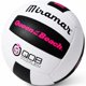 thumbnail image 1 of Balón de Voleibol KING OF THE BEACH Reina de la Playa, 1 of 9