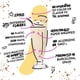 thumbnail image 4 of Sorbos comestibles con sabor a vainilla, 18,8 cm, 200 unidades, 4 of 8