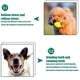 thumbnail image 3 of Paquete de 2 juguetes de tira y afloja para perros de raza pequeña, pelota con cuerda, cuerda con pelota para perros pequeños y medianos, juguete con pelota y cuerda para perros., 3 of 5