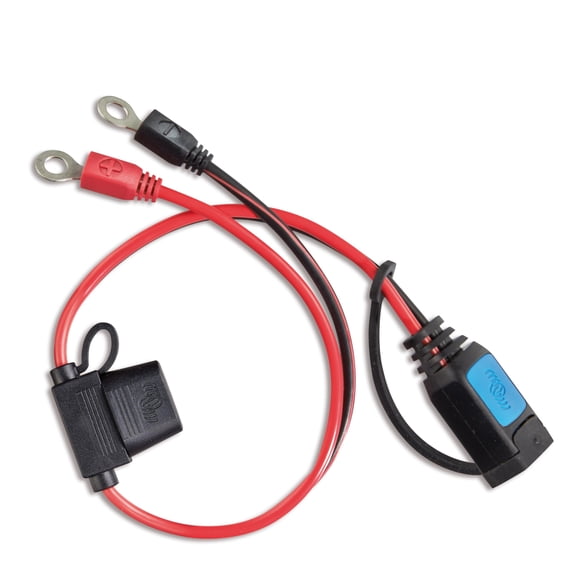 Conector Victron Energy con terminal de anillo M8 para cargador Blue Smart