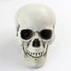 thumbnail image 1 of Figura De Cabeza De Calavera De Plástico, Modelo De Esqueleto Animal, Estatua, Decoración De Halloween B, 1 of 3