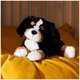 thumbnail image 2 of Peluche de peluche GUND Randle Bernese Mountain Dog 33 cm, 2 of 3
