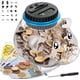 thumbnail image 1 of Alcancía digital con pantalla LCD automática, 1,8 L, para niños, con contador automático de monedas, para ahorrar dinero, ideal para fiestas, fiestas, fiestas, etc., 1 of 7