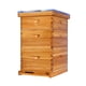 thumbnail image 1 of Colmena ThxBees Langstroth de 10 cuadros con marcos y láminas para colmena, 1 of 6