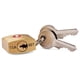 thumbnail image 3 of Llaveros Samsonite Travel Sentry, paquete de 2 unidades, latón, 3 of 6