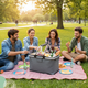 thumbnail image 5 of Canasto Picnic Cooler Bolso Térmico Plegable Portátil, 5 of 6
