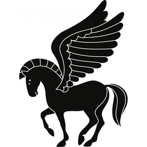 Rienda Libre Graphics - Decomural Pegasus Childrens Ws-17886