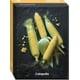 thumbnail image 1 of Senttia Choclo, 1 of 2