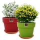 thumbnail image 2 of Set de 2 Maceta Greta 22cm Verde Apio y Morron y sus platos, 2 of 3