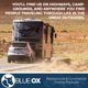 thumbnail image 5 of Kit de Bloqueo Blue Ox BX88177 Naranja (4 unidades), 5 of 6