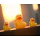 thumbnail image 5 of Rubber Duck DS. Estilo distintivo: dedo medio, 7,8 cm, divertido, 5 of 9