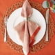 thumbnail image 5 of Juego de servilletas DII Harvest Market Burnt Orange Tonal 6 piezas, 5 of 8