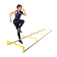 Linea Sport - Escalera Y Valla De Salto Fija De Entrenamiento 2En1 Multiuso