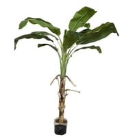 Corel - Planta Decorativa Arbol De Banano 175Cm