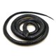 thumbnail image 5 of Serpiente de Goma Falsa Odowalker 130 cm Negra - Accesorio de Broma, 5 of 7