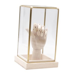 Ioensy - Vitrina De Vidrio Coleccionable, Caja De Almacenamiento Decorativa Para Figuras De Acción, Estilo B