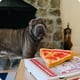 thumbnail image 4 of Pupy Roni Pizza - Peluche sensorial para perros, 4 of 5
