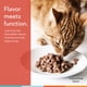 thumbnail image 4 of Suplemento De Vitaminas Y Antioxidantes Para Gatos Spectrin, 4 of 8